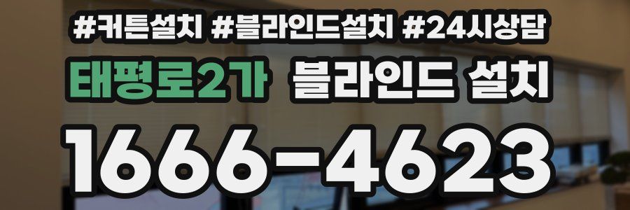 태평로2가 블라인드 설치