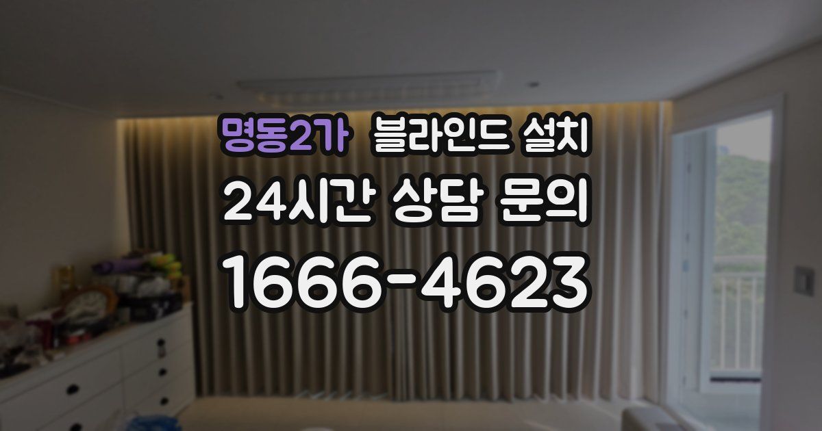 명동2가 블라인드 설치