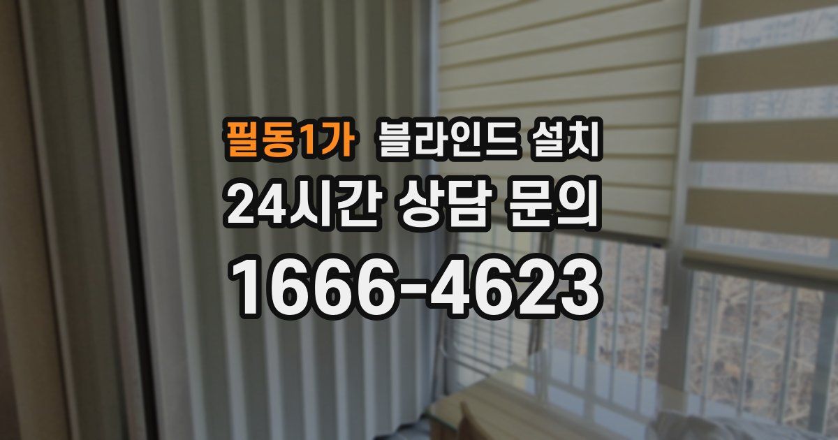 필동1가 블라인드 설치