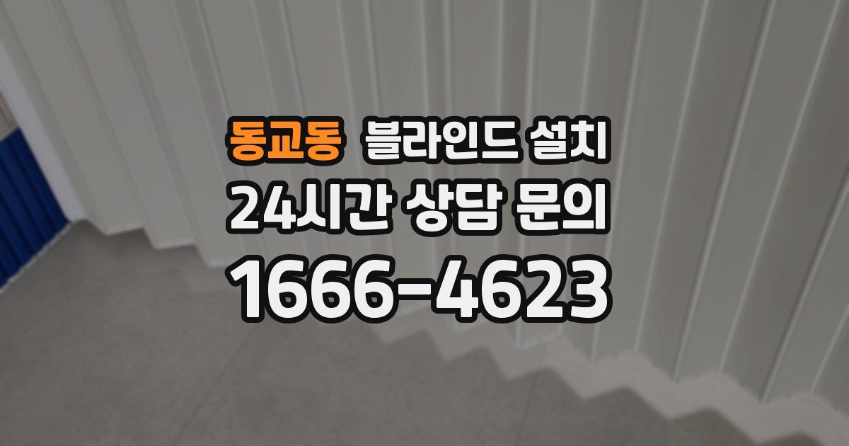 동교동 블라인드 설치