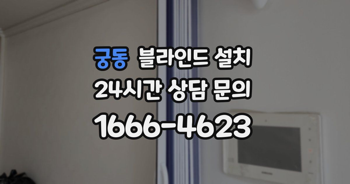 궁동 블라인드 설치