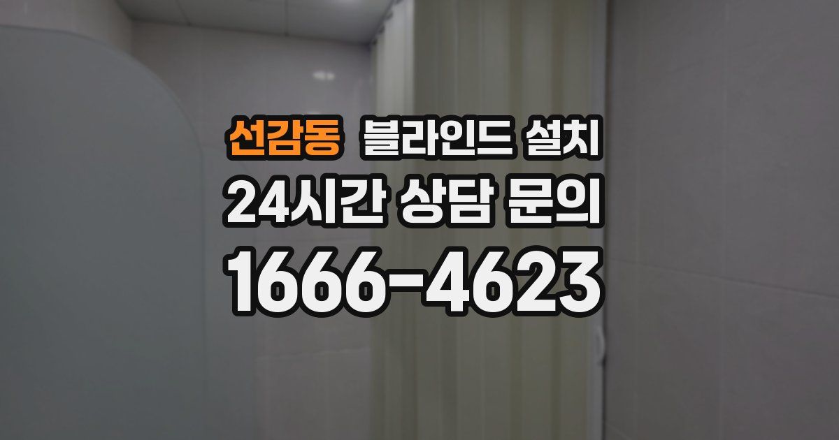 선감동 블라인드 설치