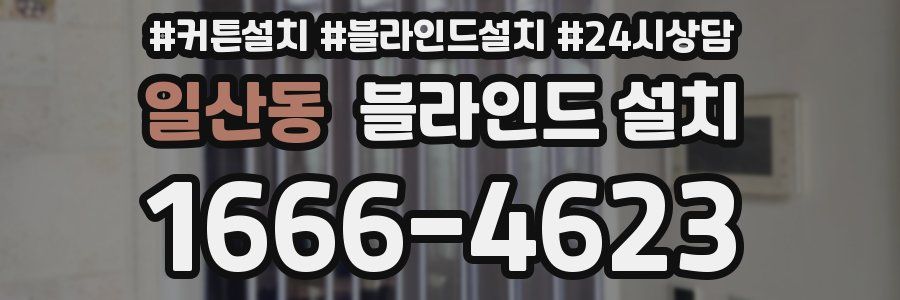 일산동 블라인드 설치