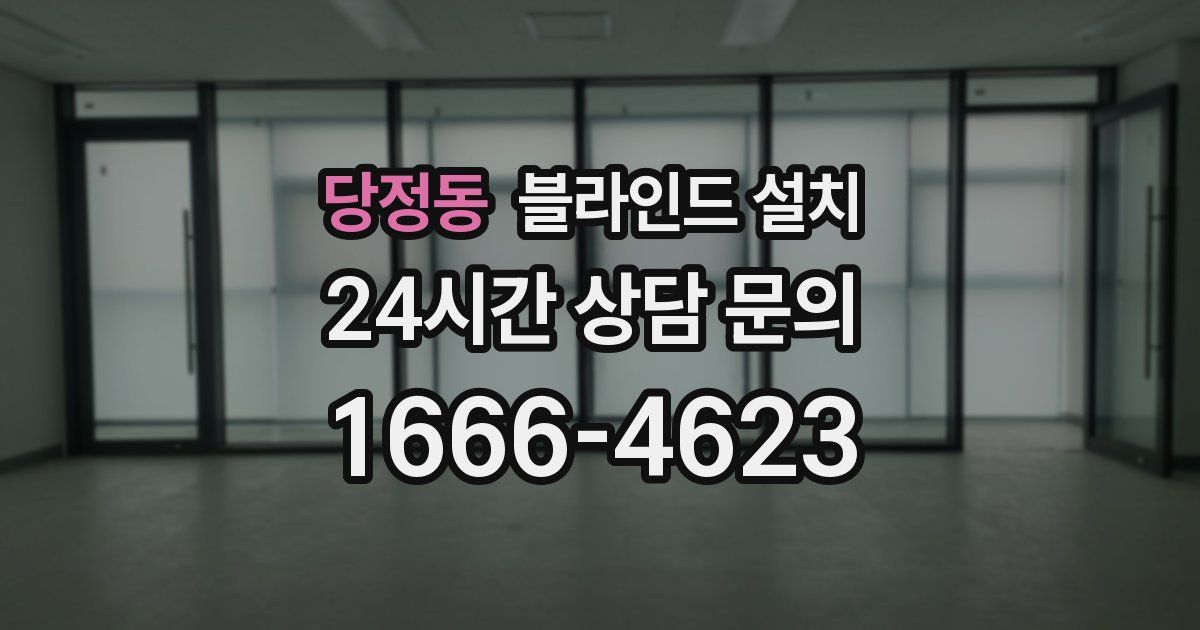 당정동 블라인드 설치