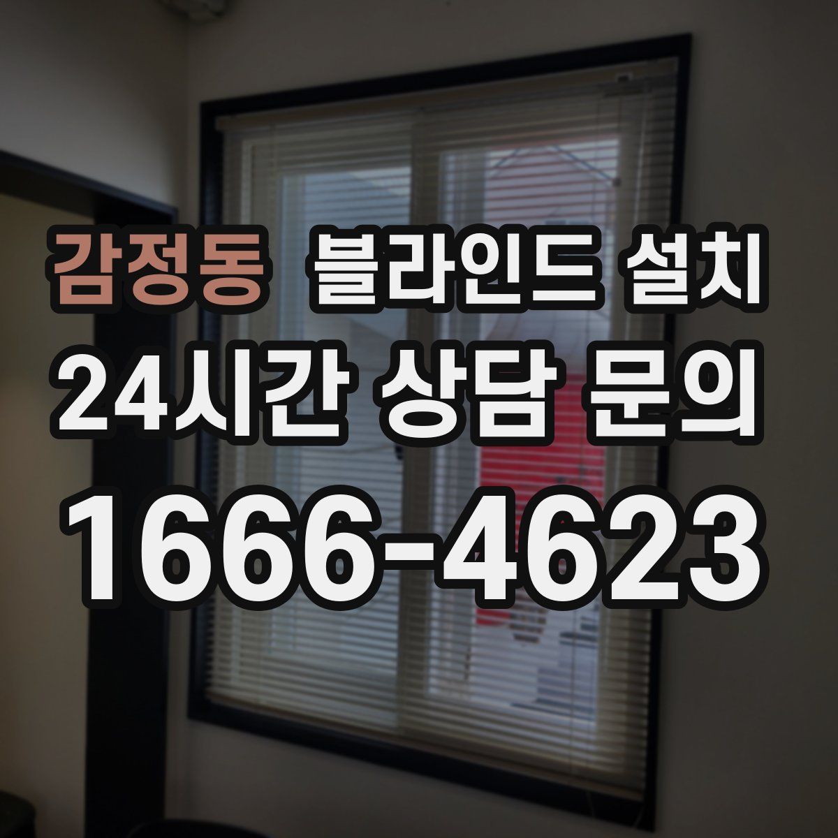 감정동 블라인드 설치