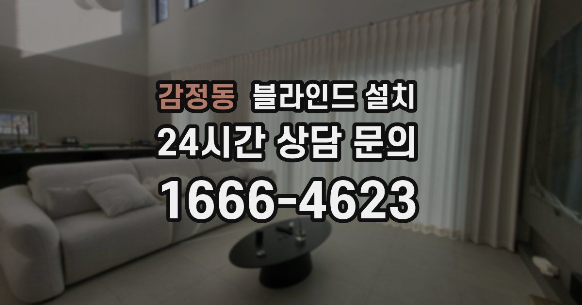 감정동 블라인드 설치