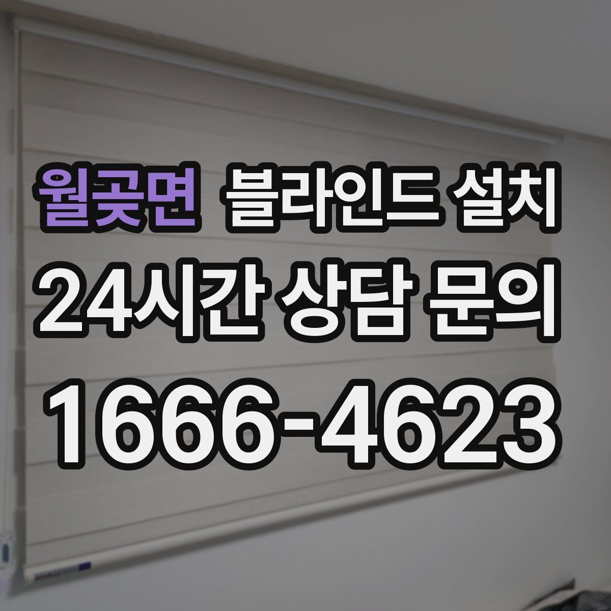 월곶면 블라인드 설치