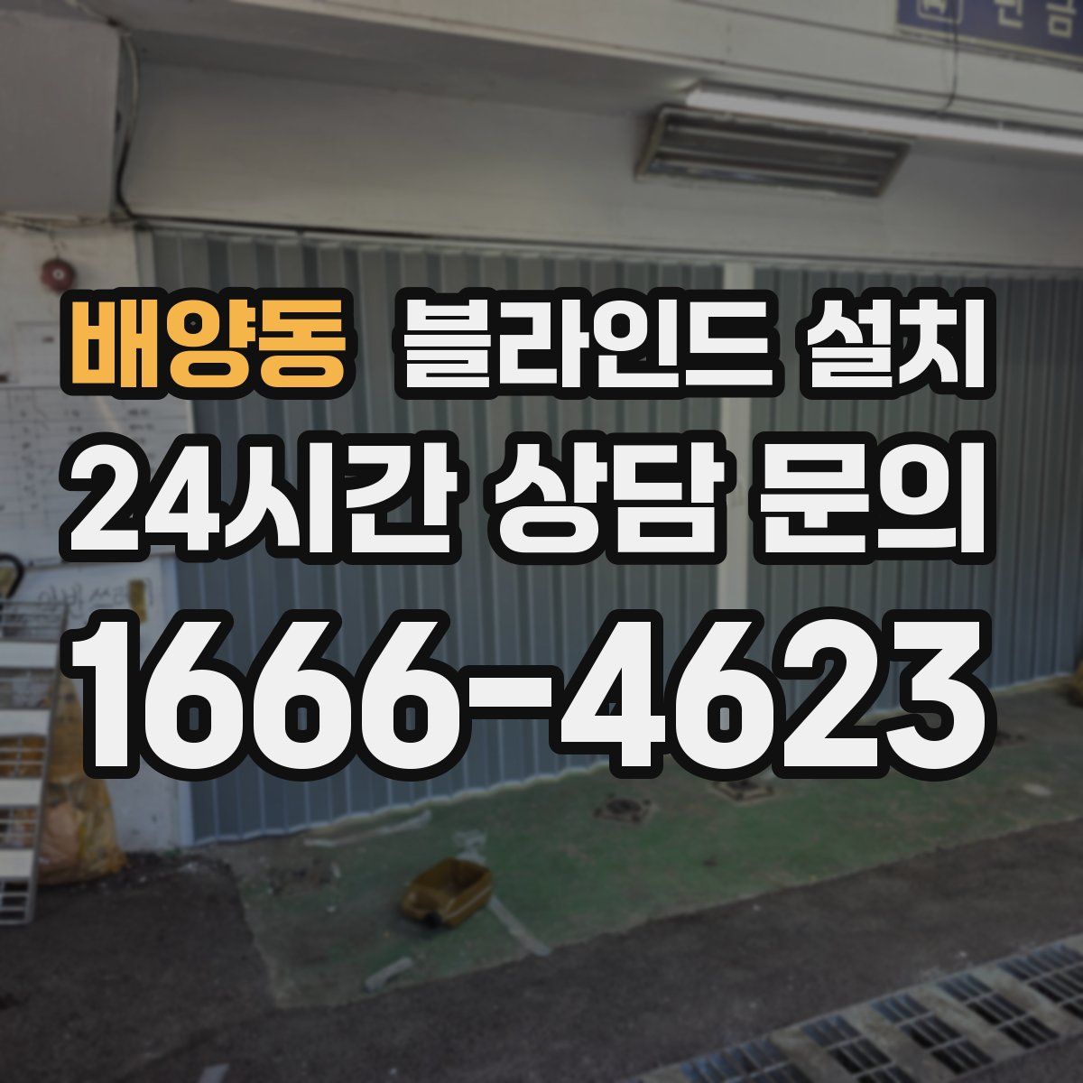 배양동 블라인드 설치