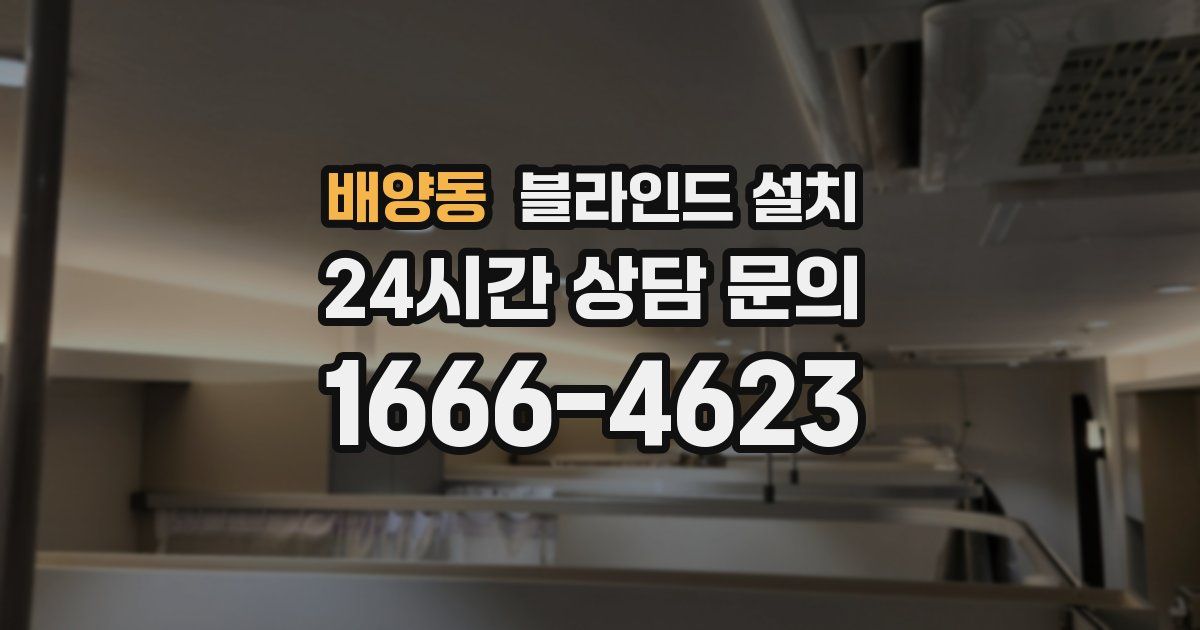 배양동 블라인드 설치