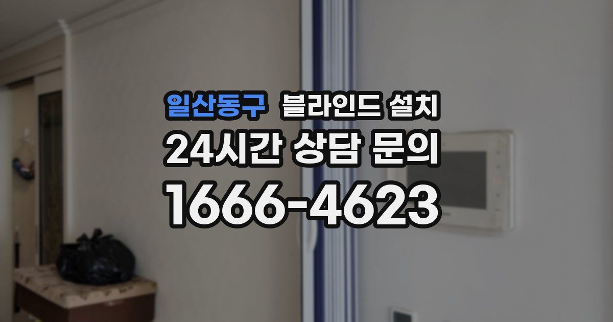일산동구 블라인드 설치