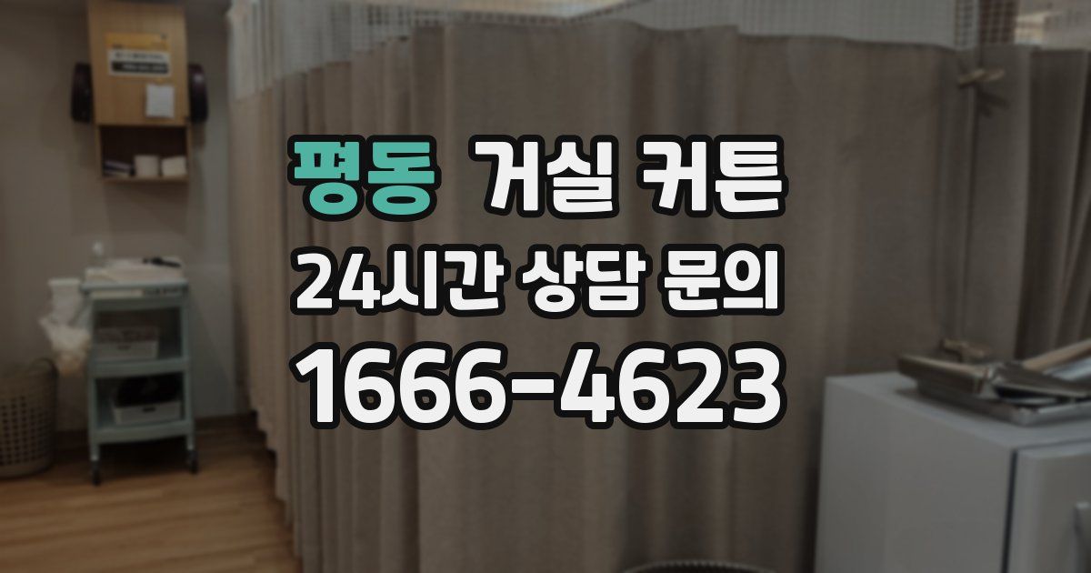 평동 거실 커튼