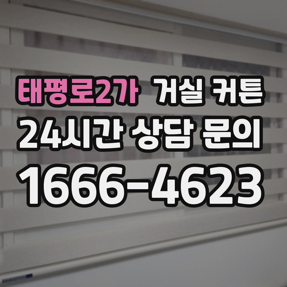 태평로2가 거실 커튼
