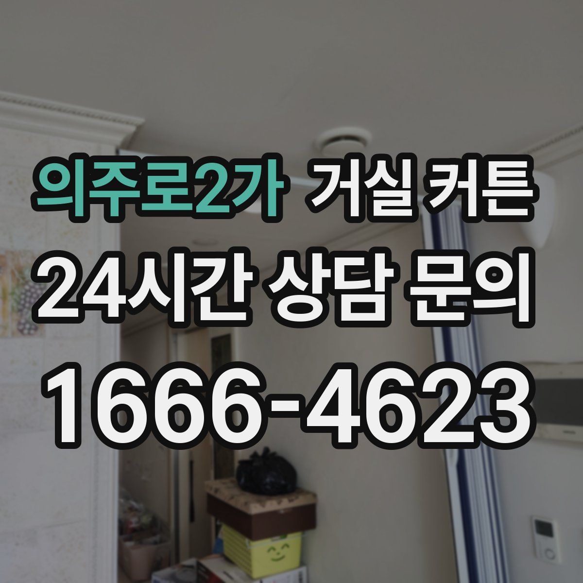 의주로2가 거실 커튼