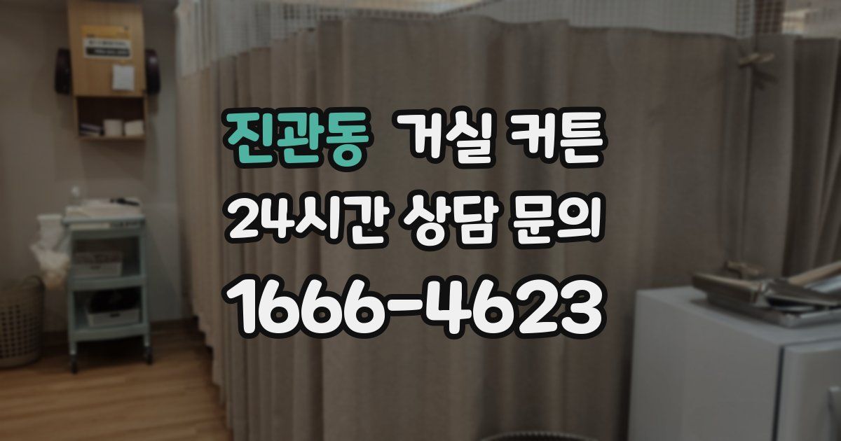 진관동 거실 커튼