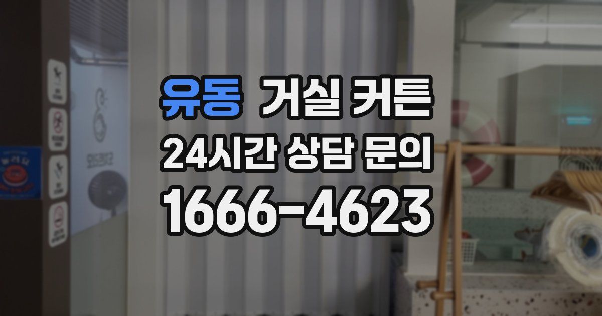 유동 거실 커튼
