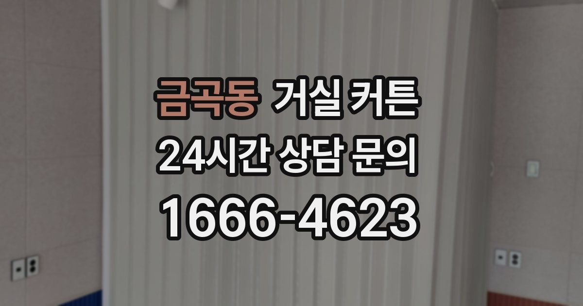 금곡동 거실 커튼