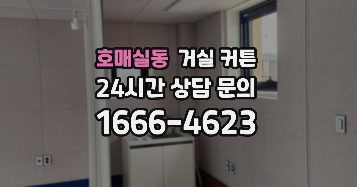 호매실동 거실 커튼