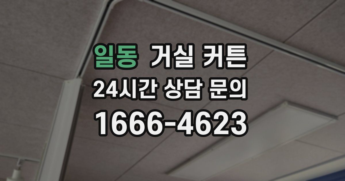 일동 거실 커튼