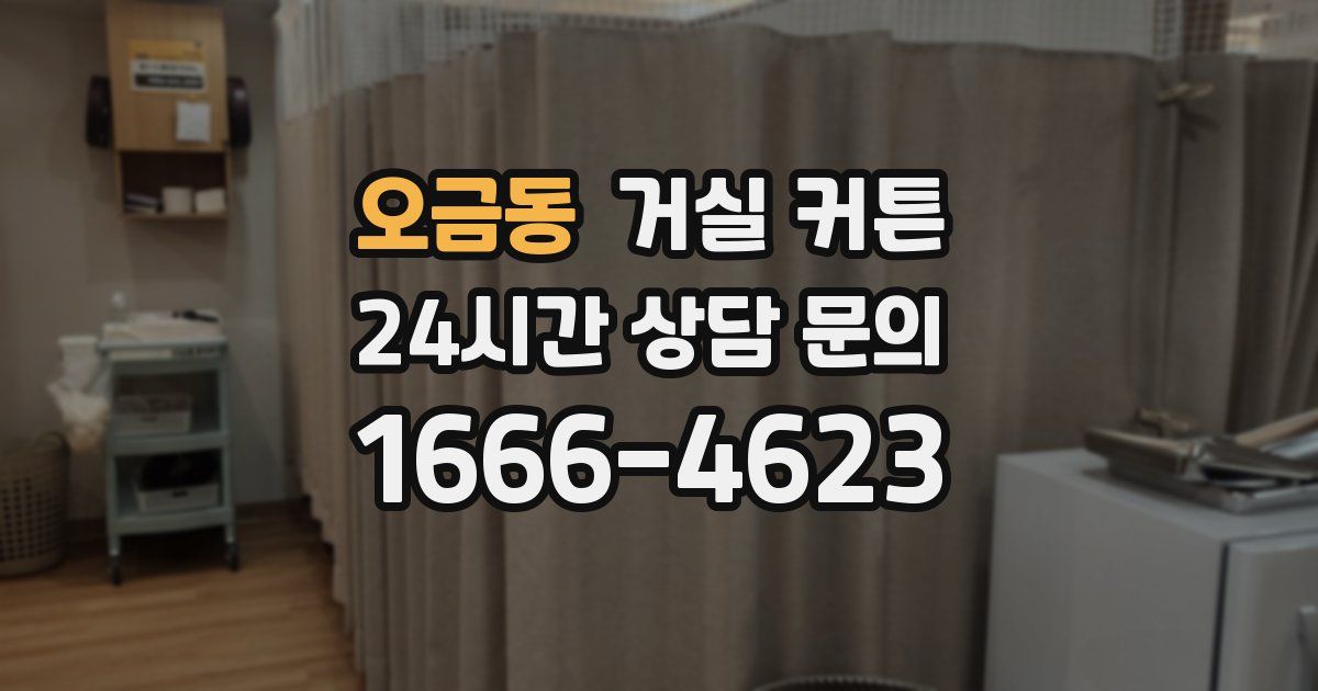 오금동 거실 커튼