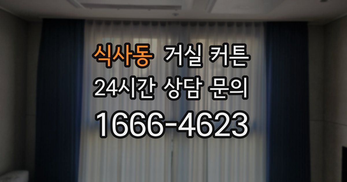 식사동 거실 커튼