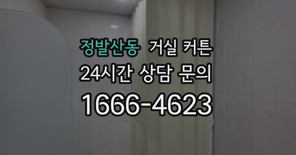 정발산동 거실 커튼