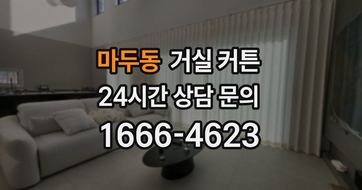 마두동 거실 커튼