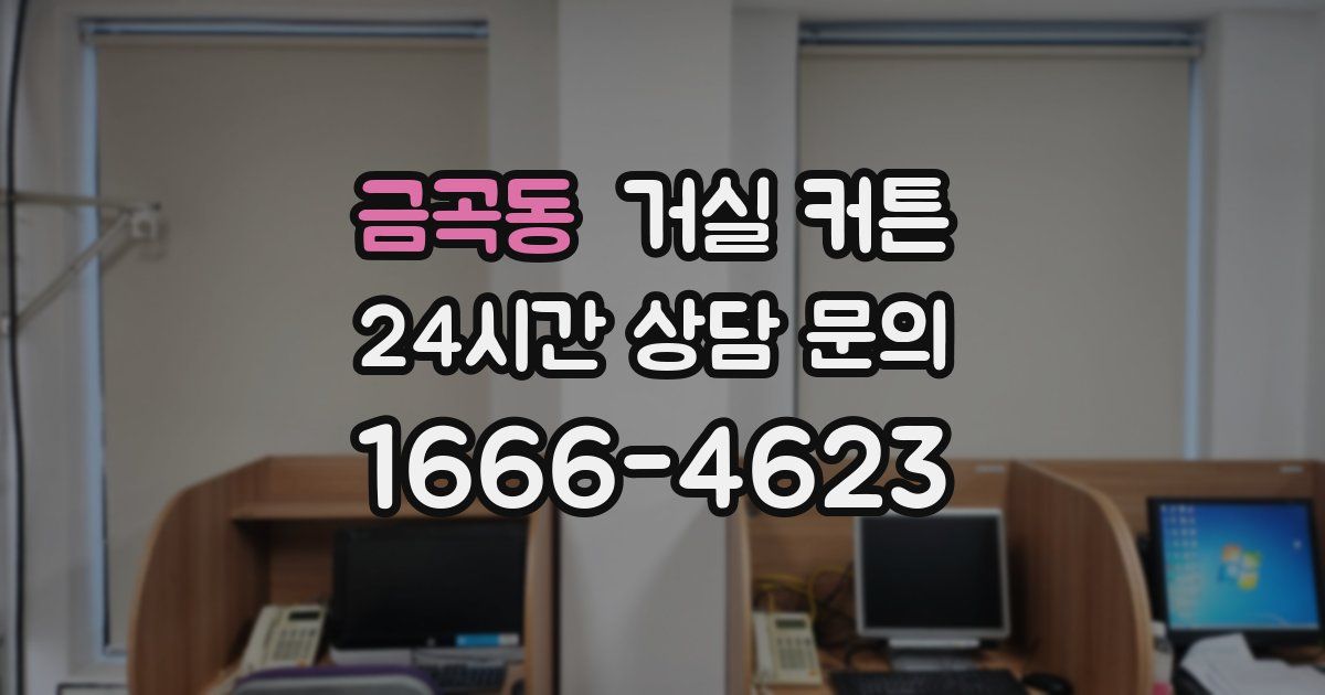 금곡동 거실 커튼