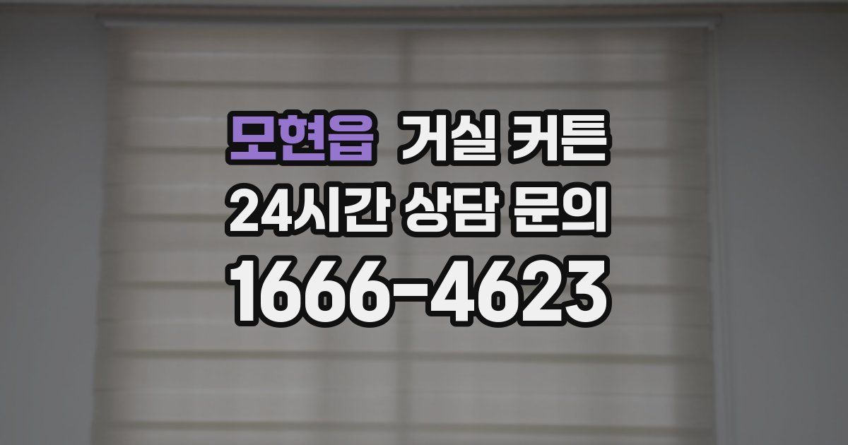 모현읍 거실 커튼