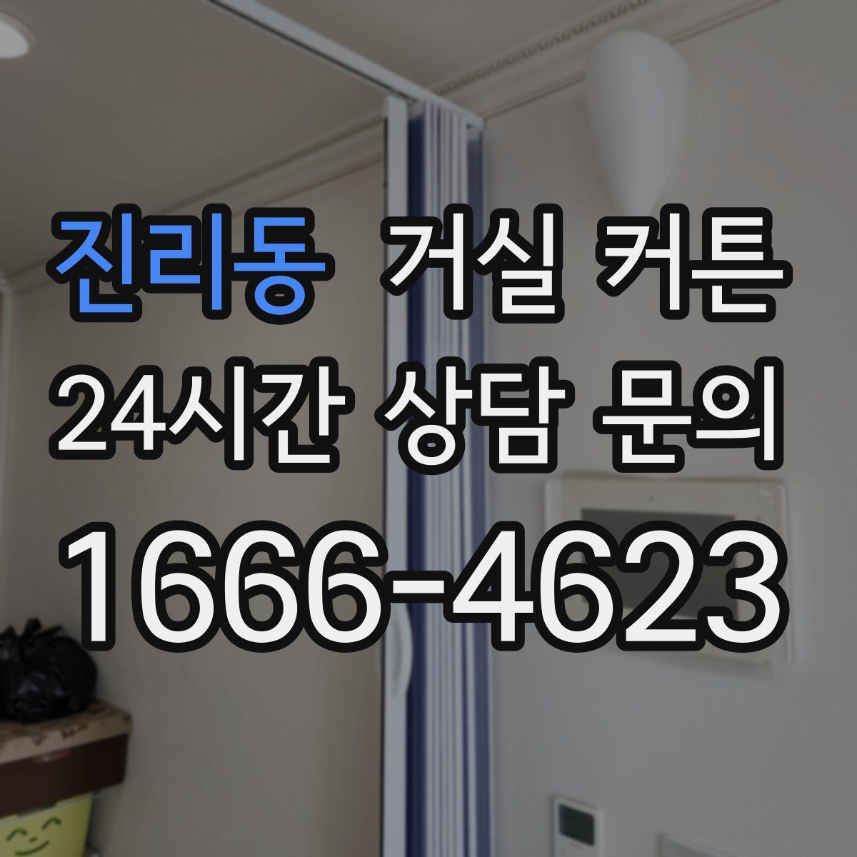 진리동 거실 커튼