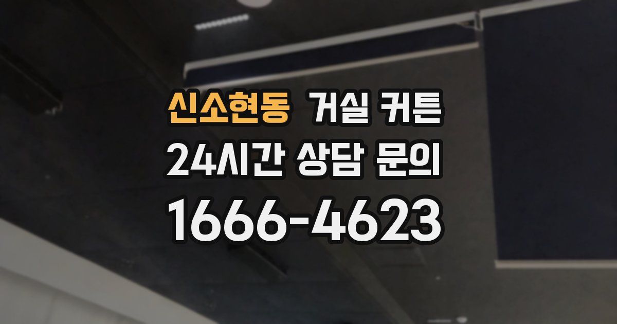 신소현동 거실 커튼