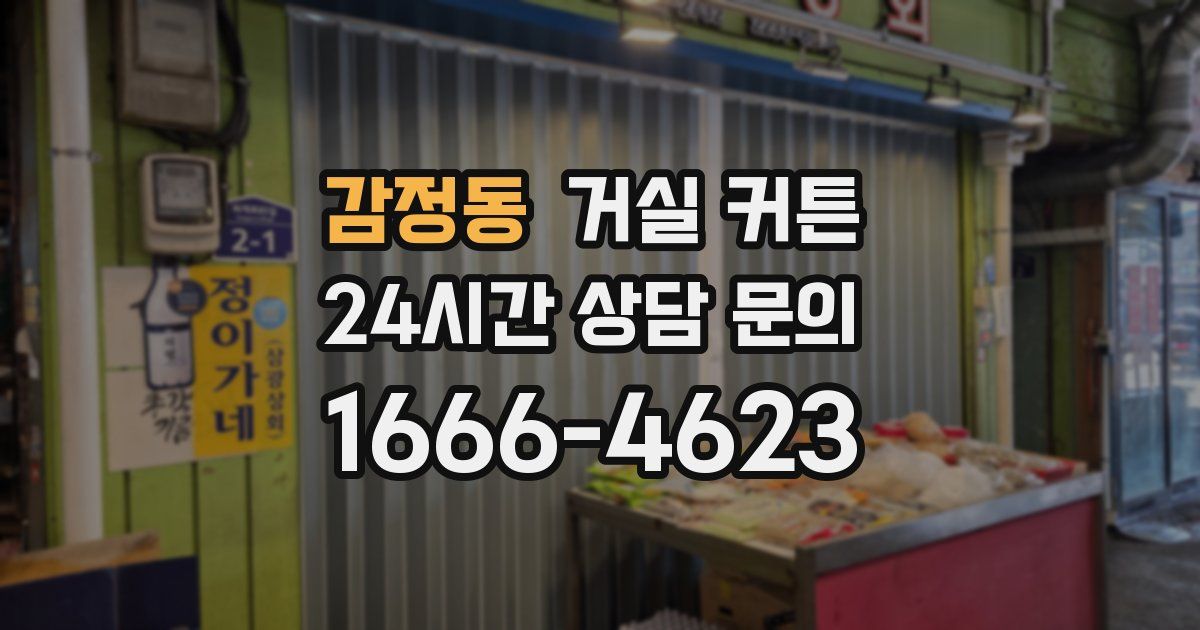 감정동 거실 커튼