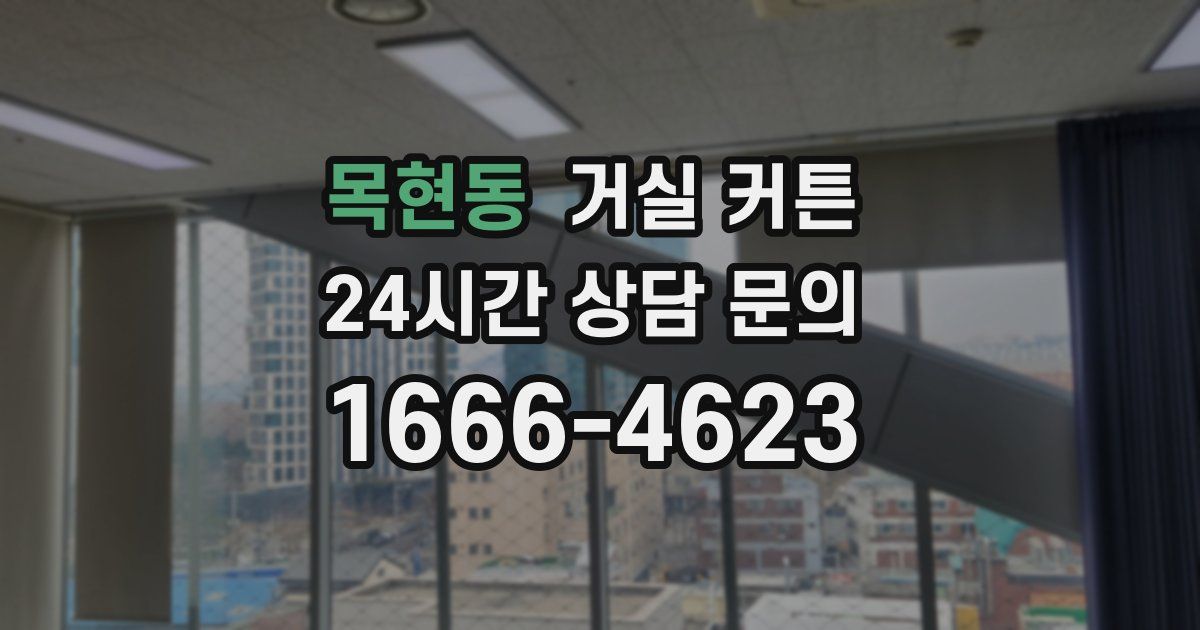 목현동 거실 커튼