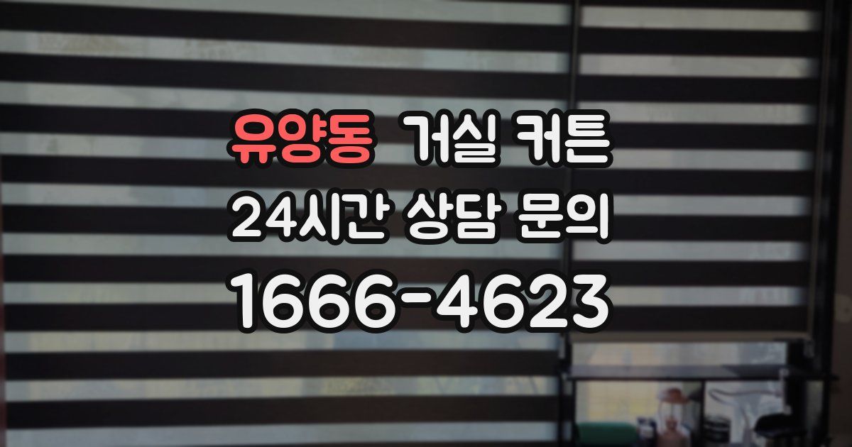 유양동 거실 커튼