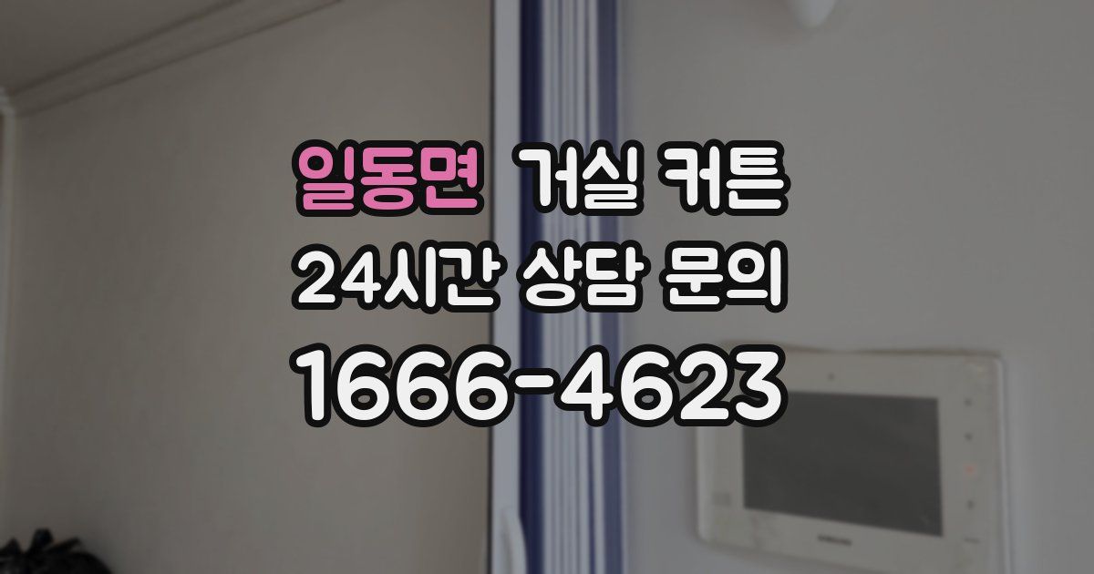 일동면 거실 커튼