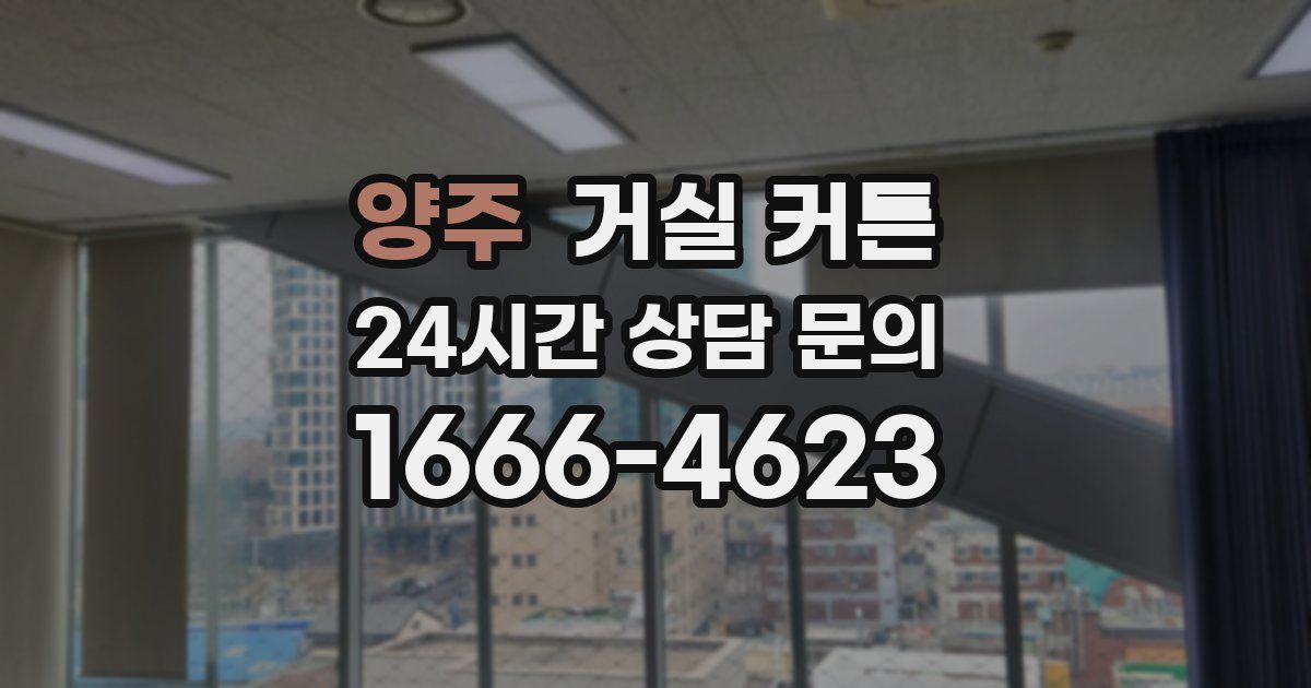 양주 거실 커튼