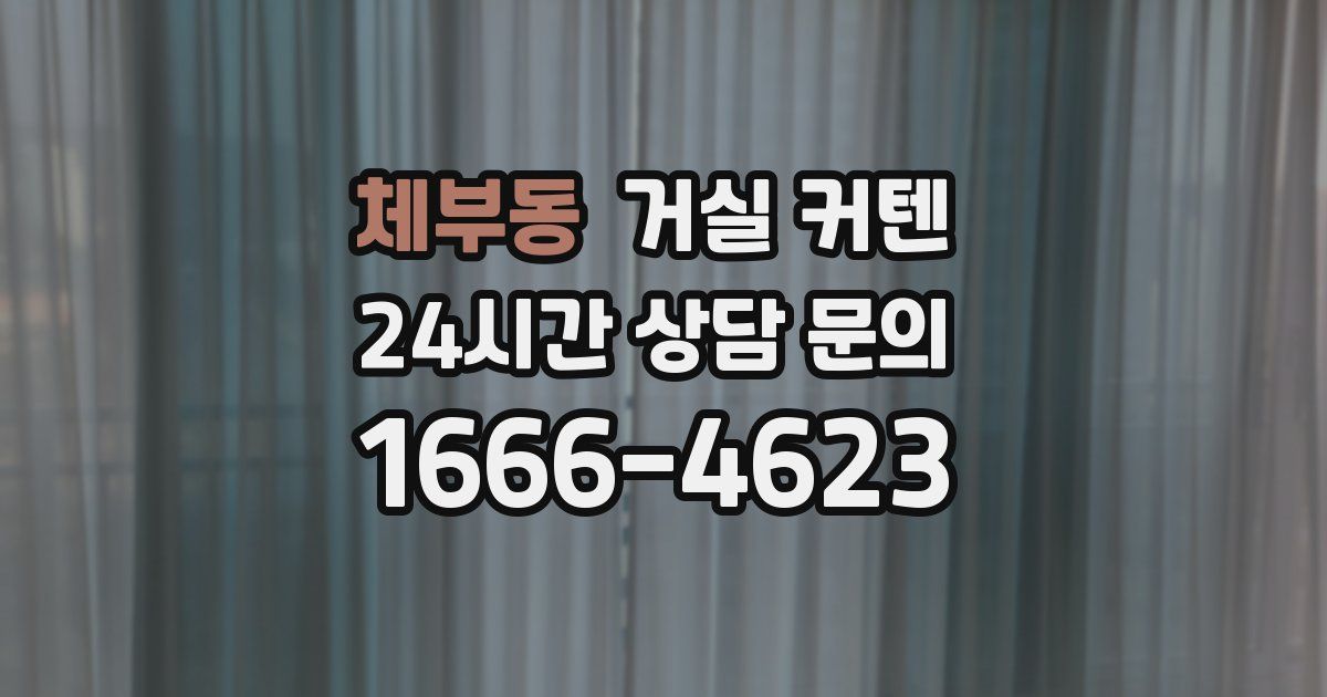 체부동 거실 커텐