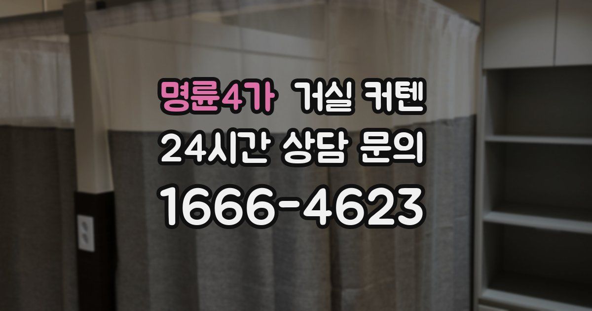 명륜4가 거실 커텐