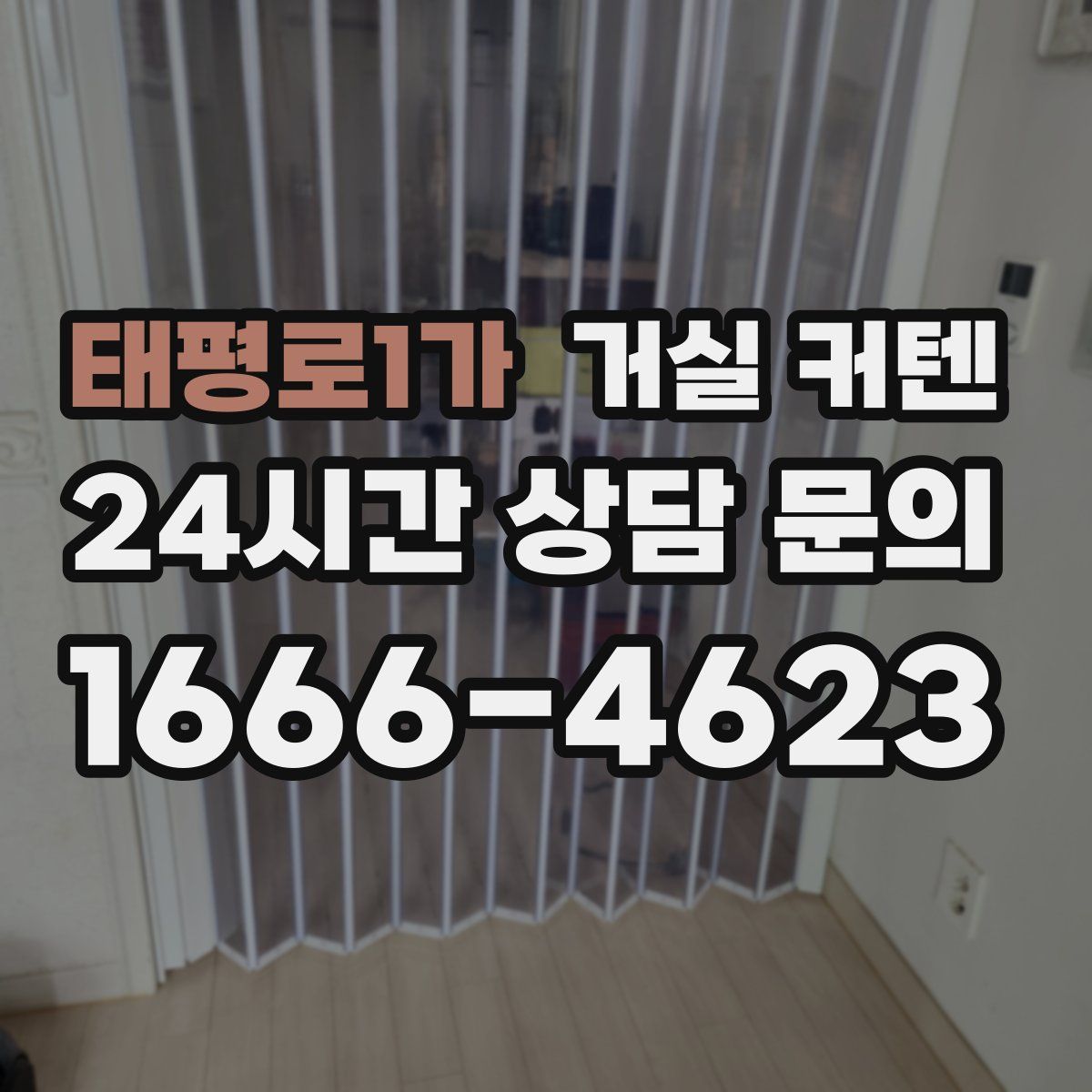 태평로1가 거실 커텐