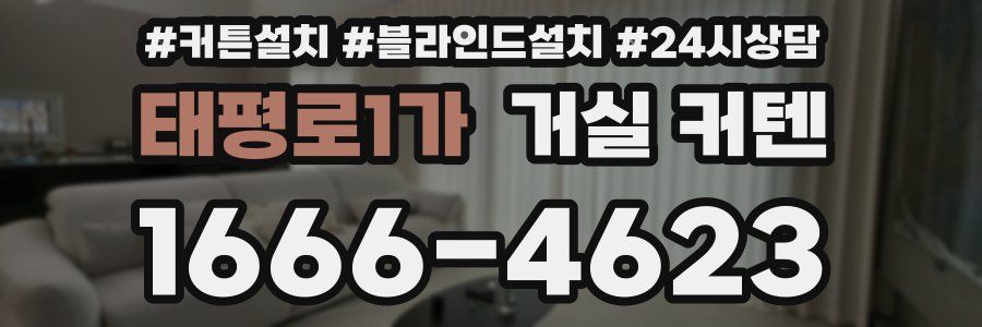 태평로1가 거실 커텐