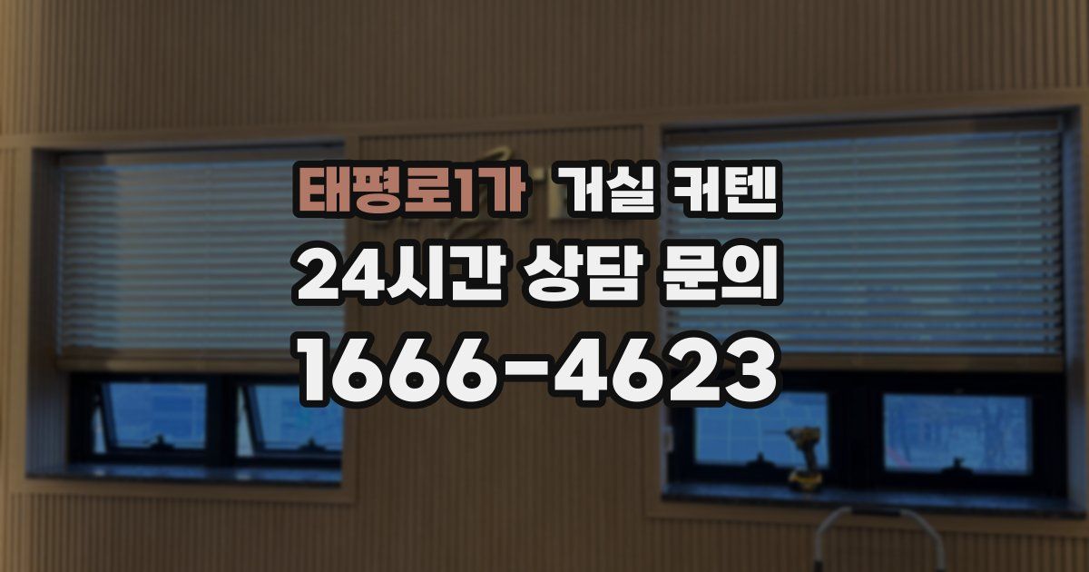 태평로1가 거실 커텐