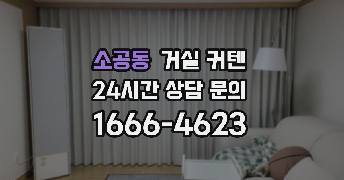 소공동 거실 커텐