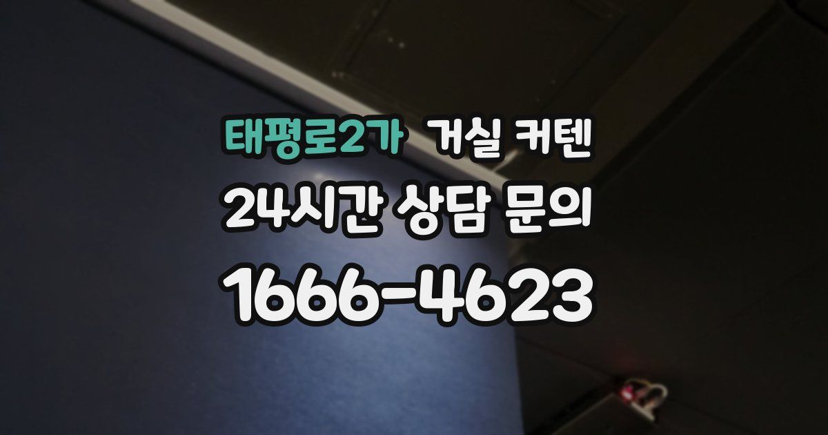 태평로2가 거실 커텐