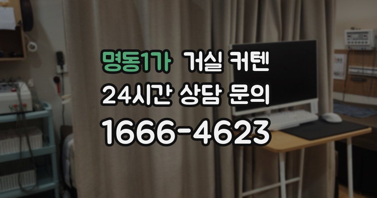 명동1가 거실 커텐