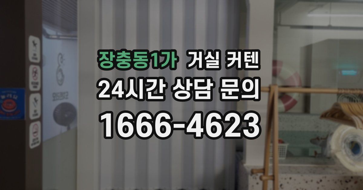 장충동1가 거실 커텐