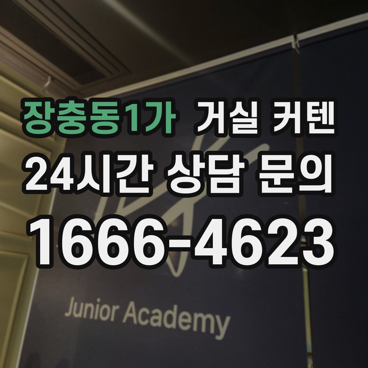 장충동1가 거실 커텐
