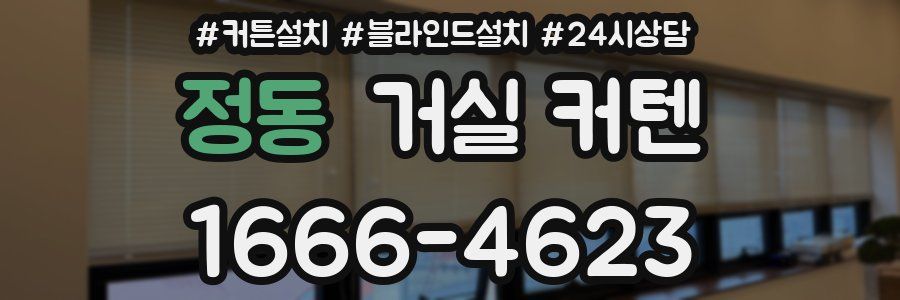정동 거실 커텐