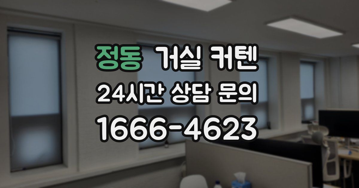 정동 거실 커텐