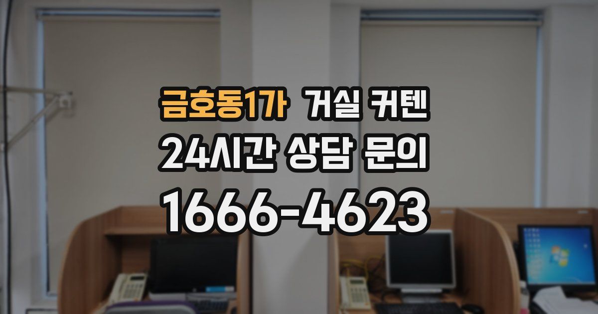 금호동1가 거실 커텐