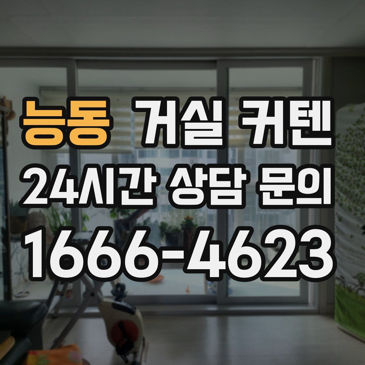 능동 거실 커텐