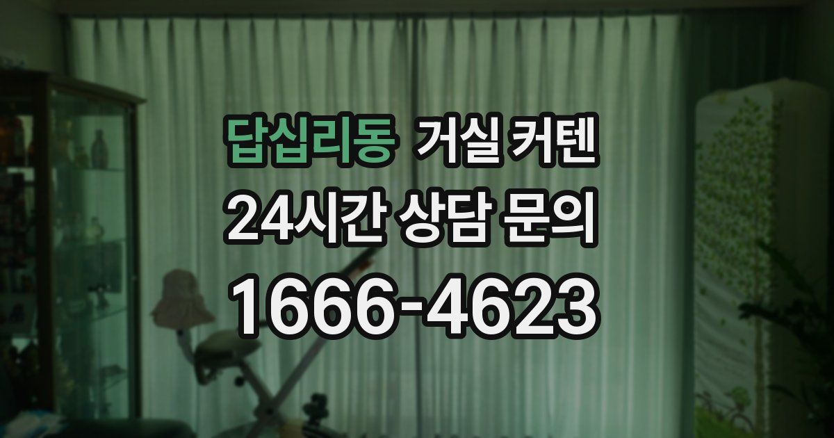 답십리동 거실 커텐